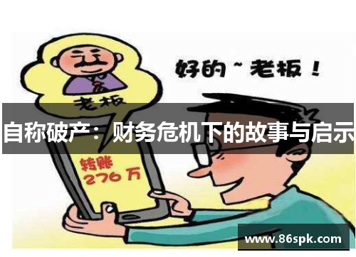 自称破产：财务危机下的故事与启示